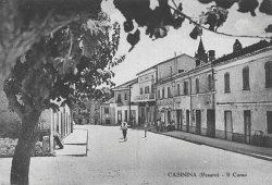 Casinina '50 (M.G.)